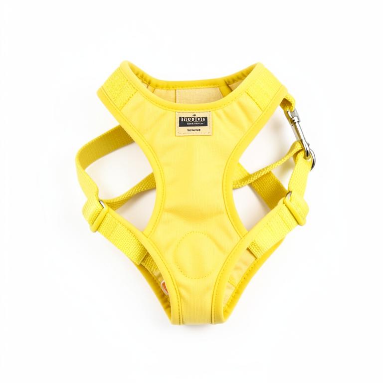 TrailMate No-Pull Harness & Leash Set